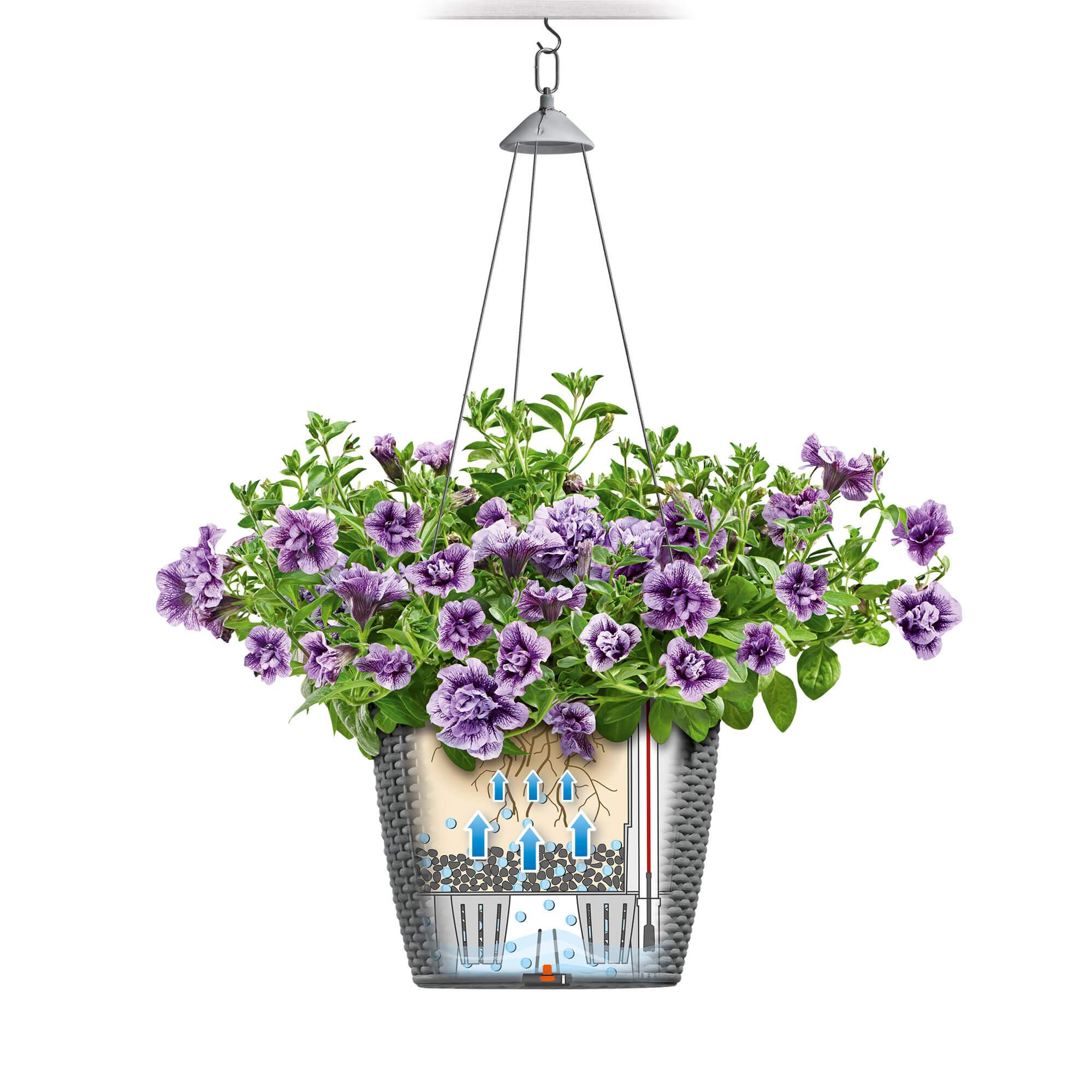 le_nido-cottage_product_addi_sws